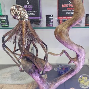 Octopus Resting