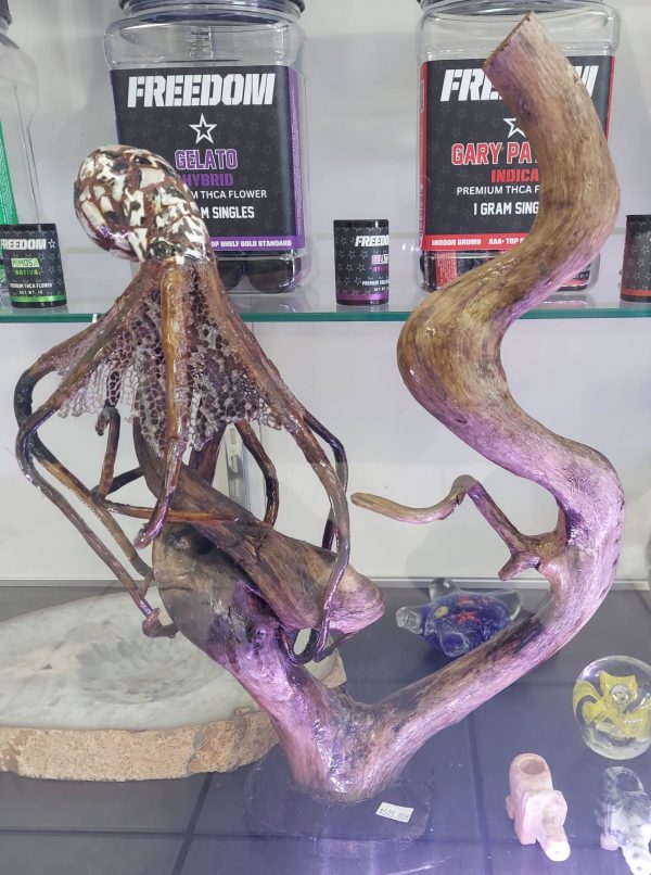 Octopus Resting