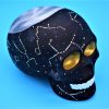 Skull Sculptures - Image 2