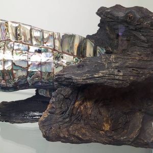 Abalone Eel