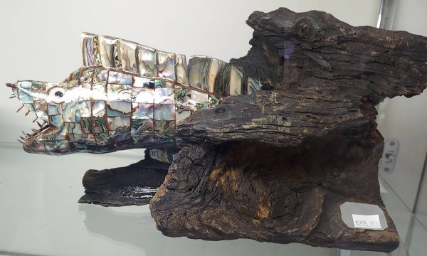 Abalone Eel