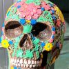 Skull Sculptures - Image 4
