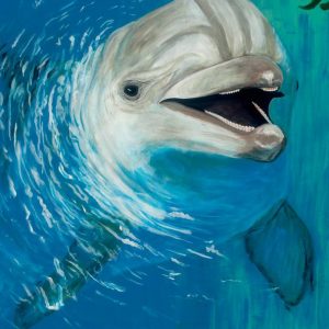 Happy Dolphin