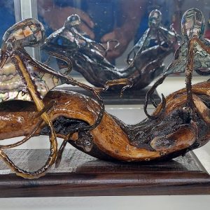 Octopus Twins