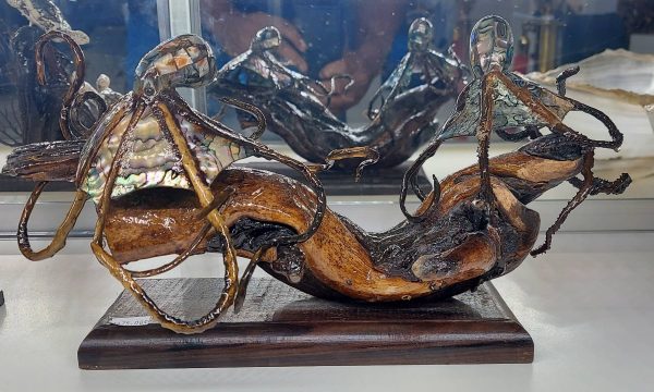 Octopus Twins