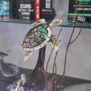 Turtles Ascending