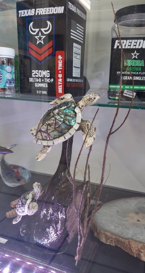 Turtles Ascending